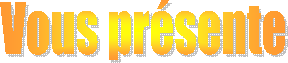 Vous présente